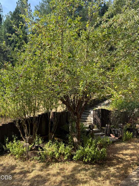 Tiny photo for 5010 Griffin Creek Road, Medford, OR 97501 (MLS # 220227103)