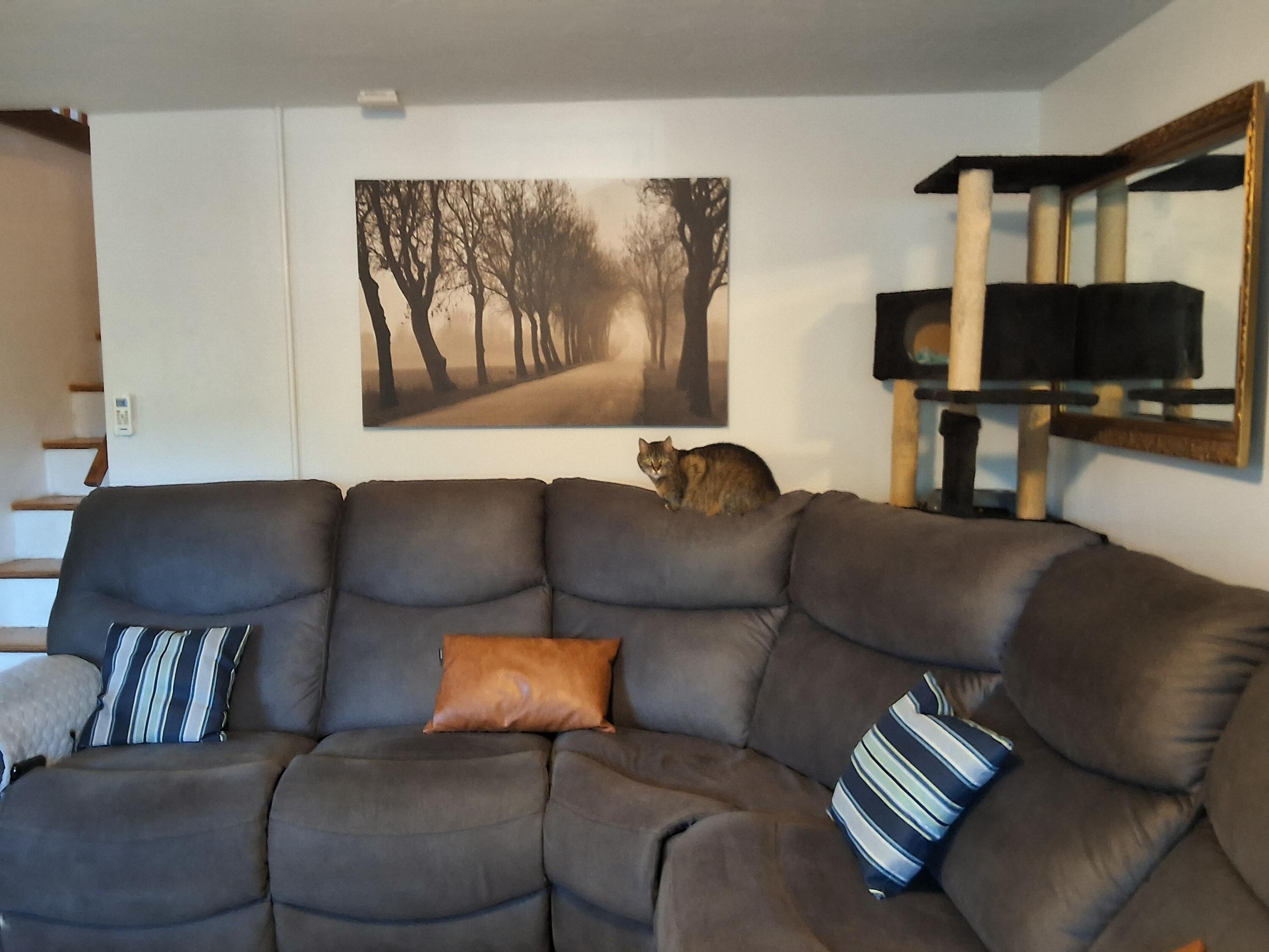 Gold Hill Original Town - Residential