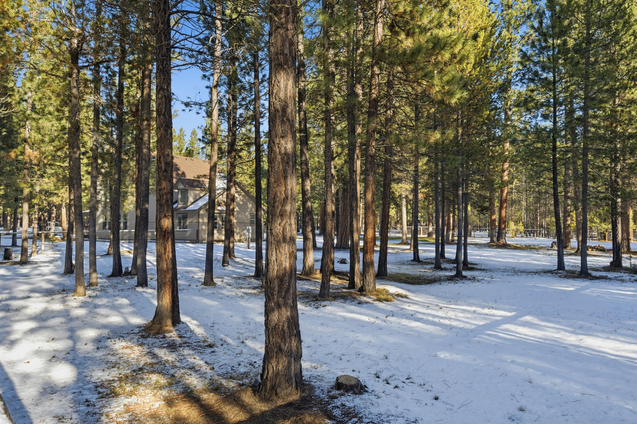 Ponderosa Pines - Residential