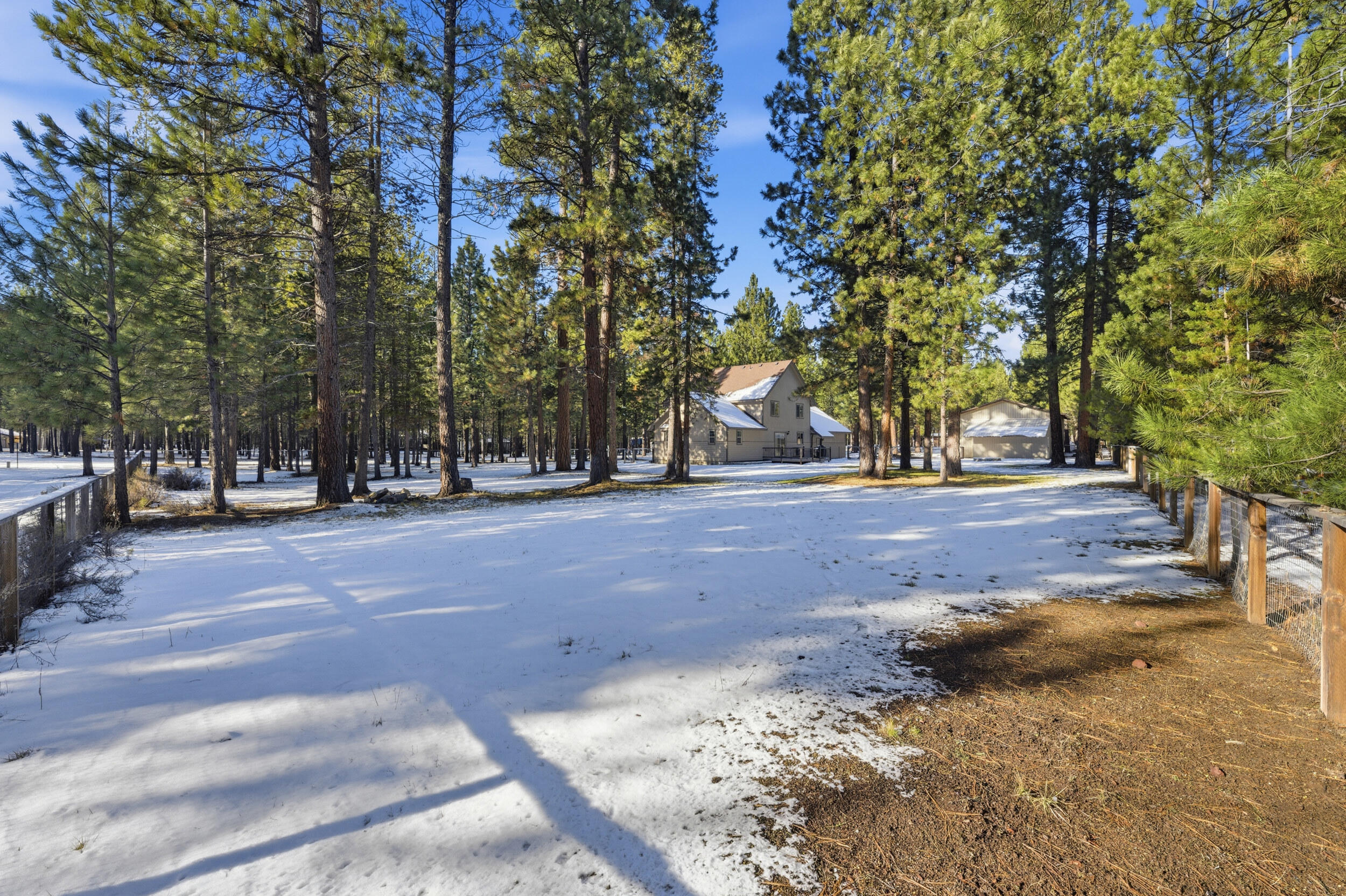 Ponderosa Pines - Residential
