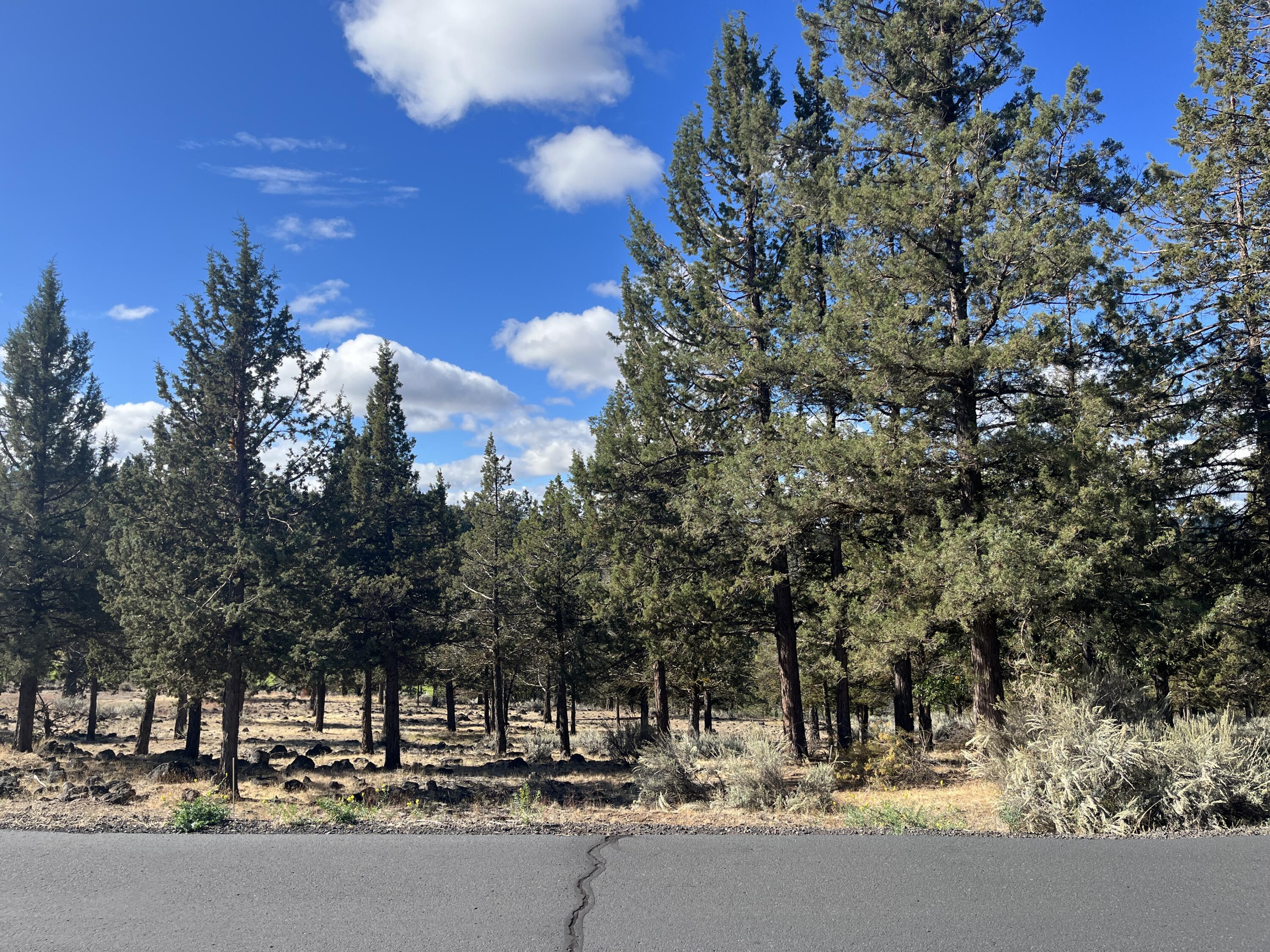 Running YResort - Land