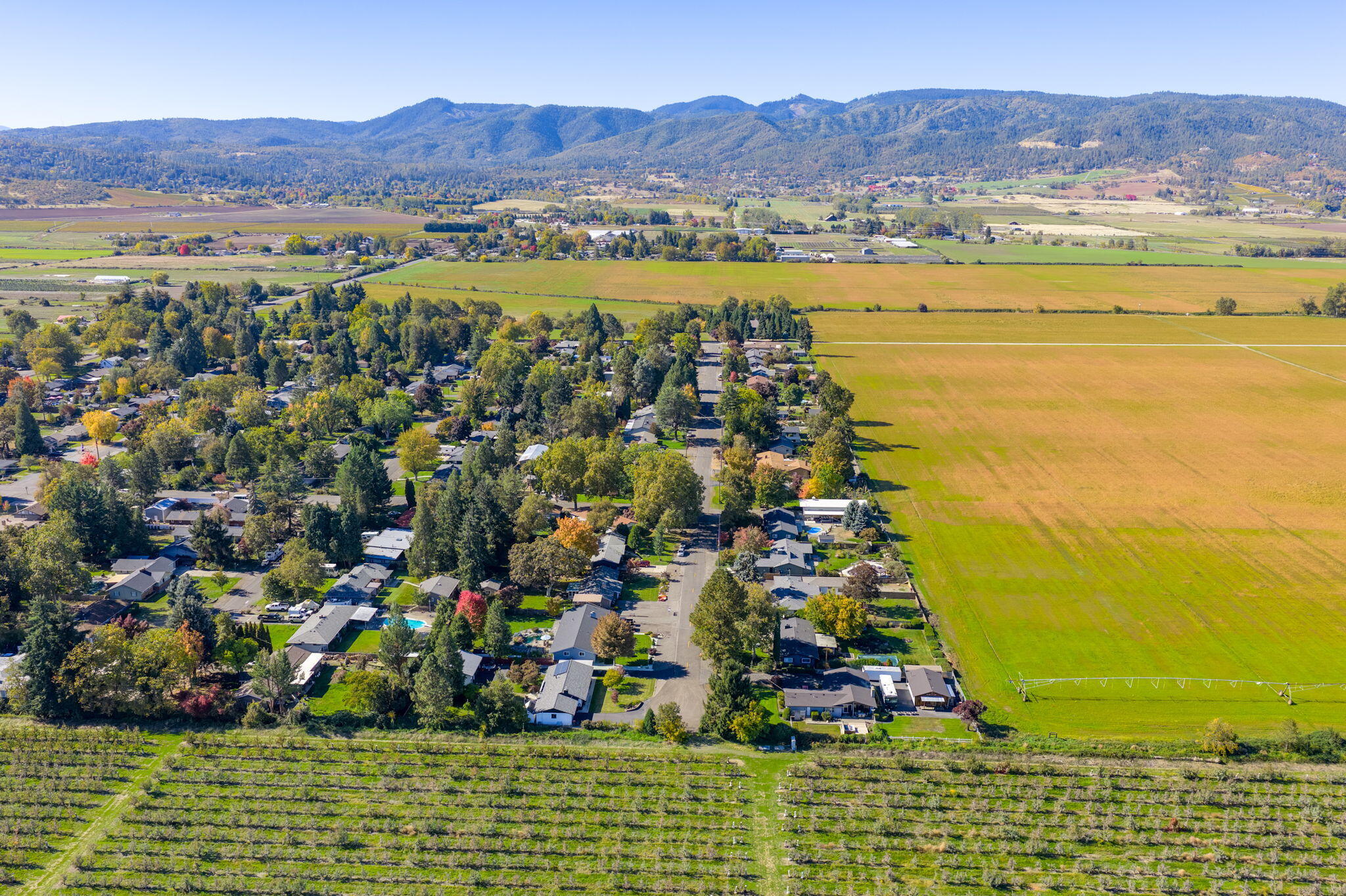 Pioneer Subdivision - Residential