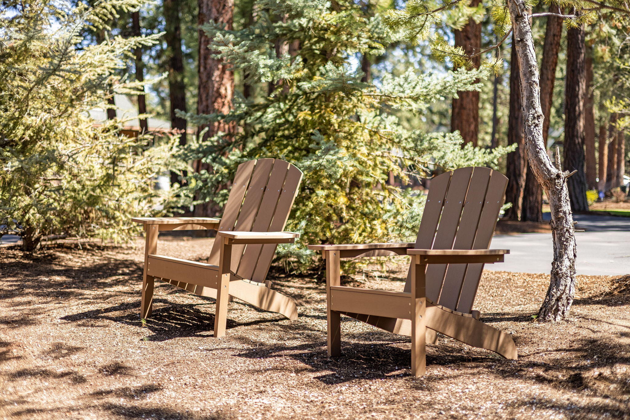 Coyote Springs - Residential