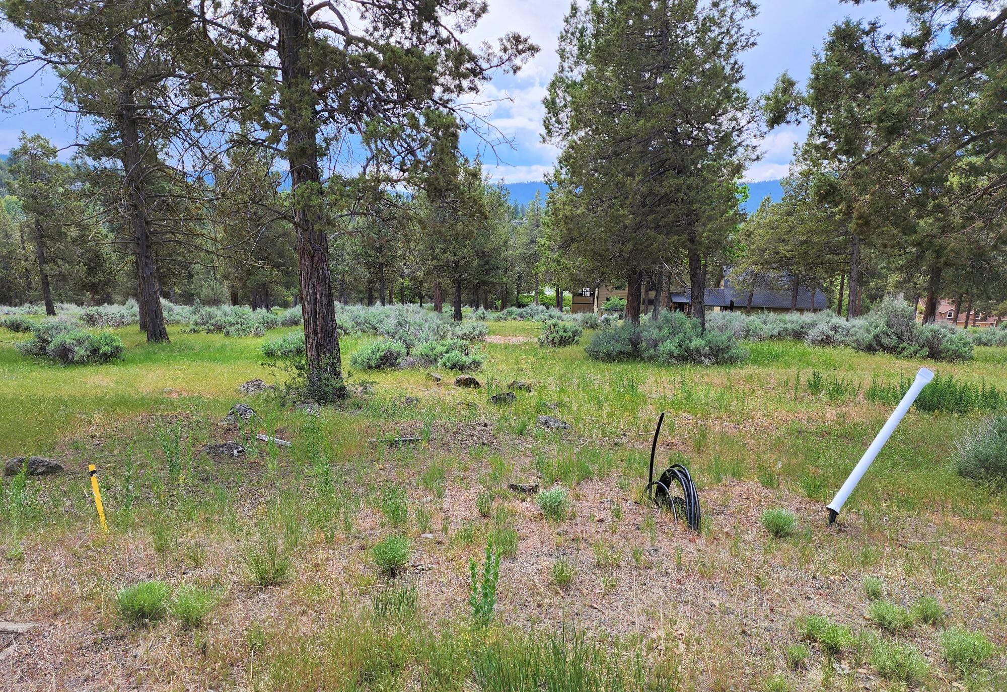 Running YResort - Land