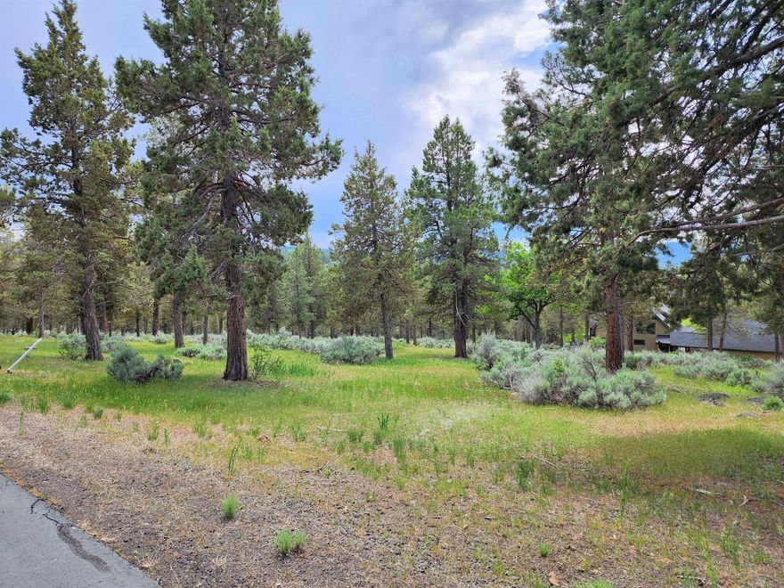 Desirable and Buildable Running Y  Lot, located in the Beautiful City of Sunshine, Klamath Falls, Oregon.  This .46 acre lot has approx. 100 ft of Street front, with some mature tress on a dead end road.  Utilities are on the lot.  At the end of the road, you will find 85 acres of yet undeveloped land, making for a private & desirable location!  The Running Y is home to the Signature Arnold Palmer Golf Course, Sandhill Spa, a Lodge with Restaurant, and Convention center.  Horseback riding is available during the Summer months, and the Ice Rink is open for Winter enjoyment.  Many other events are hosted year round!  HOA membership includes use of the Fitness center with an Indoor Pool & Spa, Pickle Ball, Tennis, and a variety of other court facilities.  Enjoy miles of paved Walking & Biking Trails, along with a neighborhood Dog Park and Boat Ramp.  All of this and more, at the renowned Running Y Ranch Resort in Southern Oregon!