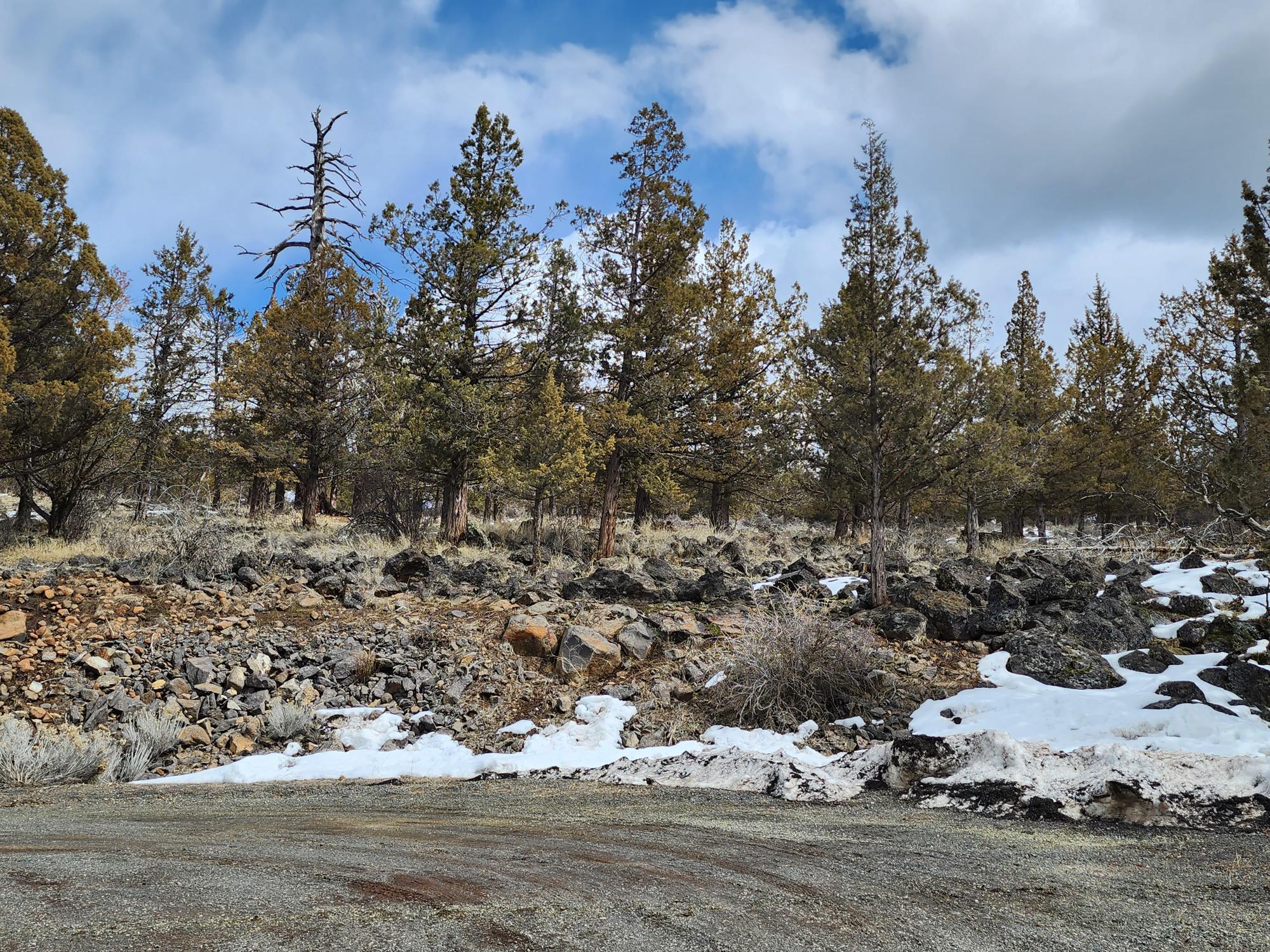 Running YResort - Land