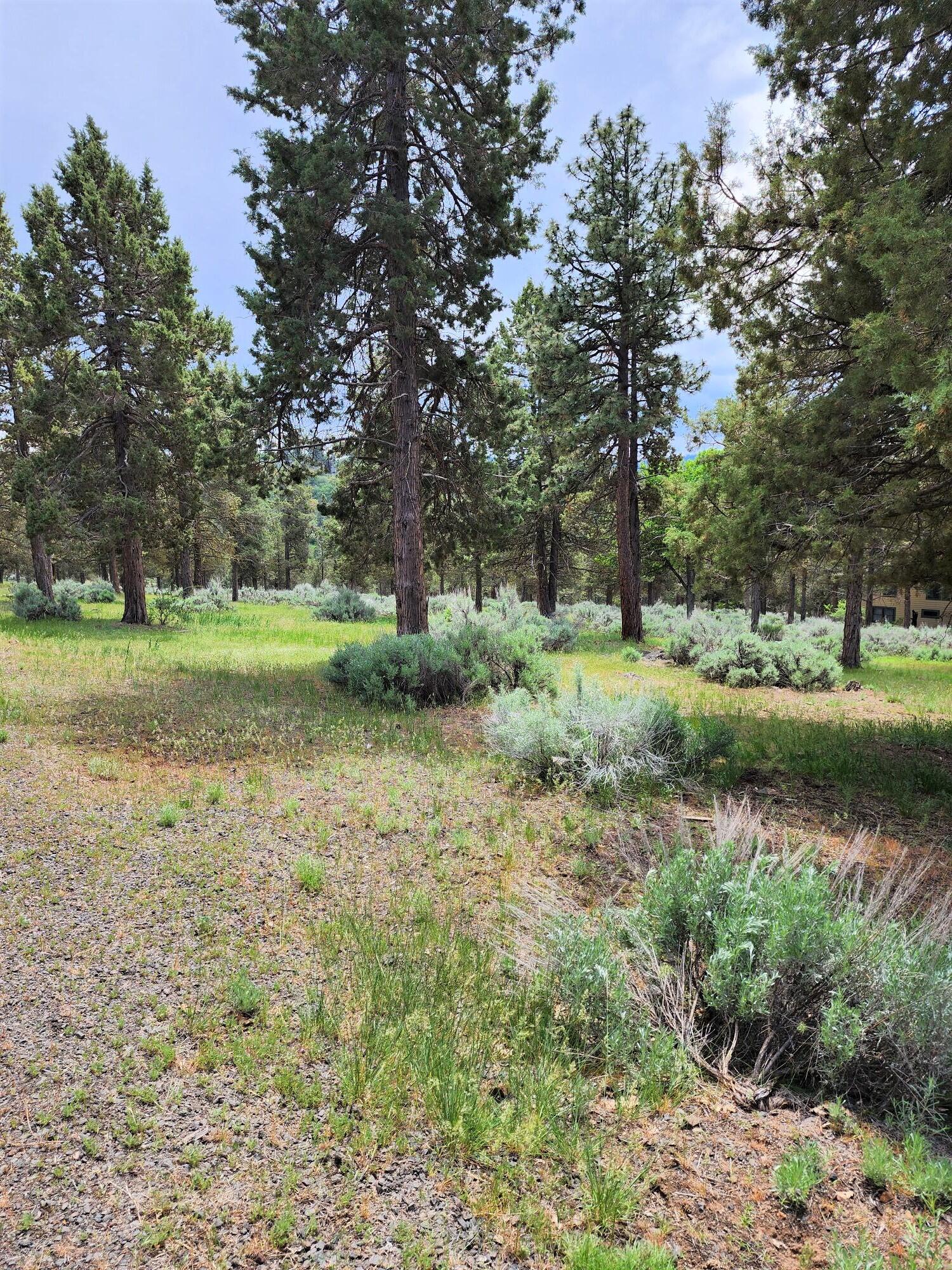 Running YResort - Land