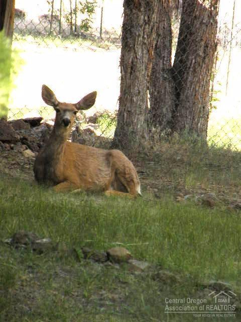 Crr7_C - Residential