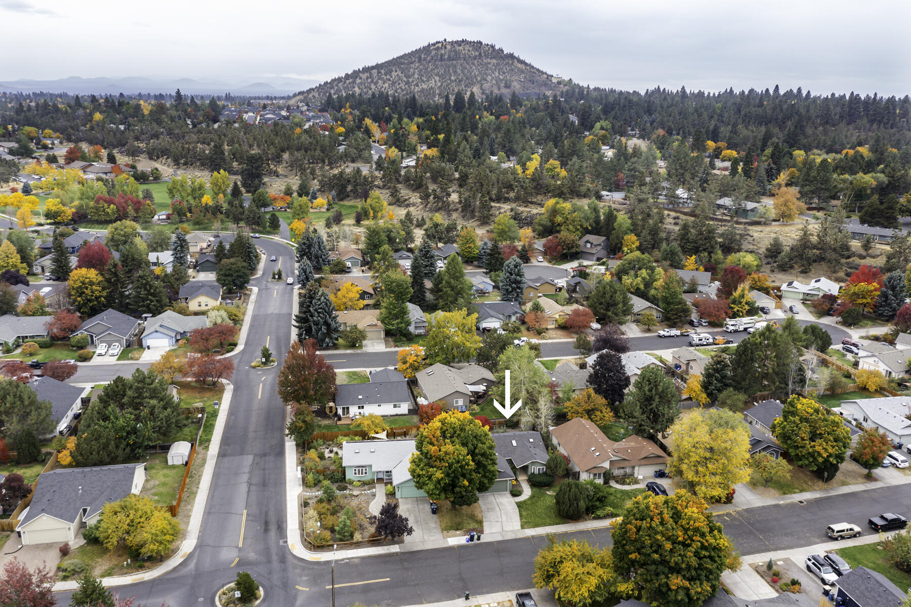 Colvin Estate - Residential