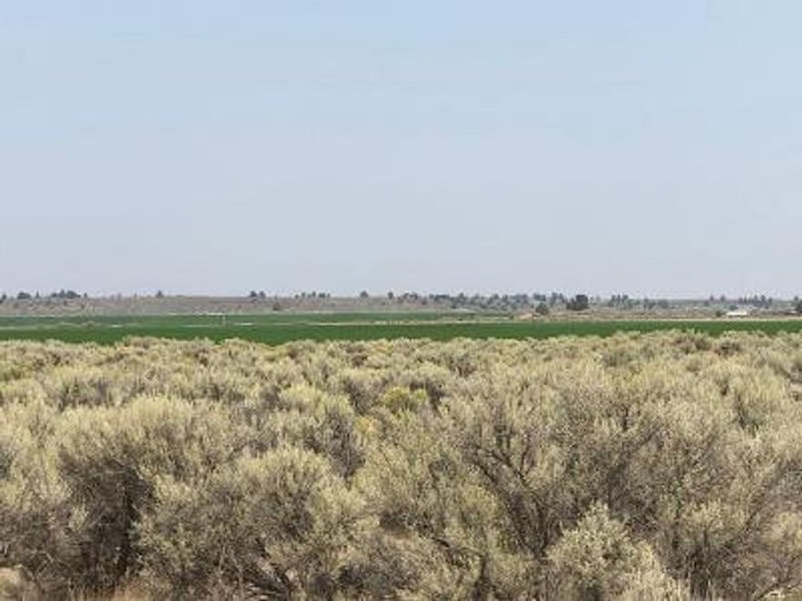 Great 5 ac parcel not far from Christmas Valley. Surrounded by beautiful Alfalfa fields and great mountain views. Neighbors close by. Enjoy all that Christmas Valley has to offer with golf,hunting , site seeing geographic sites or take the ATV's to the famous sand dunes or just kick back and watch the beautiful sunsets, Property would need a Conditional Use permit to develop. This would make a great off grid property with decent access roads to the property.