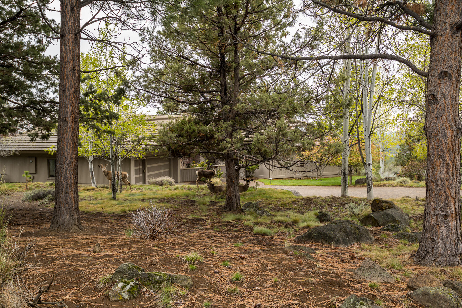 Hillside Park - Residential