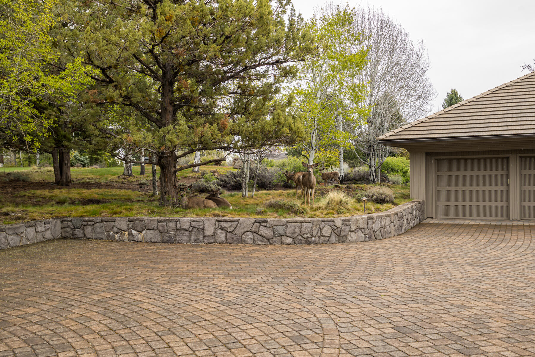 Hillside Park - Residential