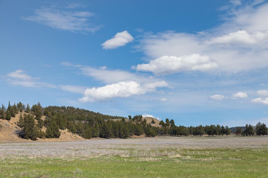 813 Acres of Rangeland near Grizzly. Large enough parcel that you could build your ranch headquarters. Perimeter fenced. This is your chance to own a large parcel not too far from town, yet extremely private.