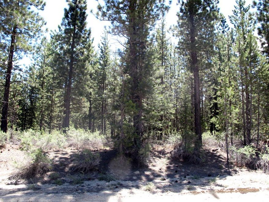 This property would be great for recreation with deer and elk in the area and fishing very close by. There appears to be some good value in the timber and some selective harvesting and thinning could be done now but there should be a substantial harvest within the next 10 to 20 years. This would be a great property to pick up and recreate on for the next several years as more timber matures and then either harvest it or sell it to someone else to harvest.