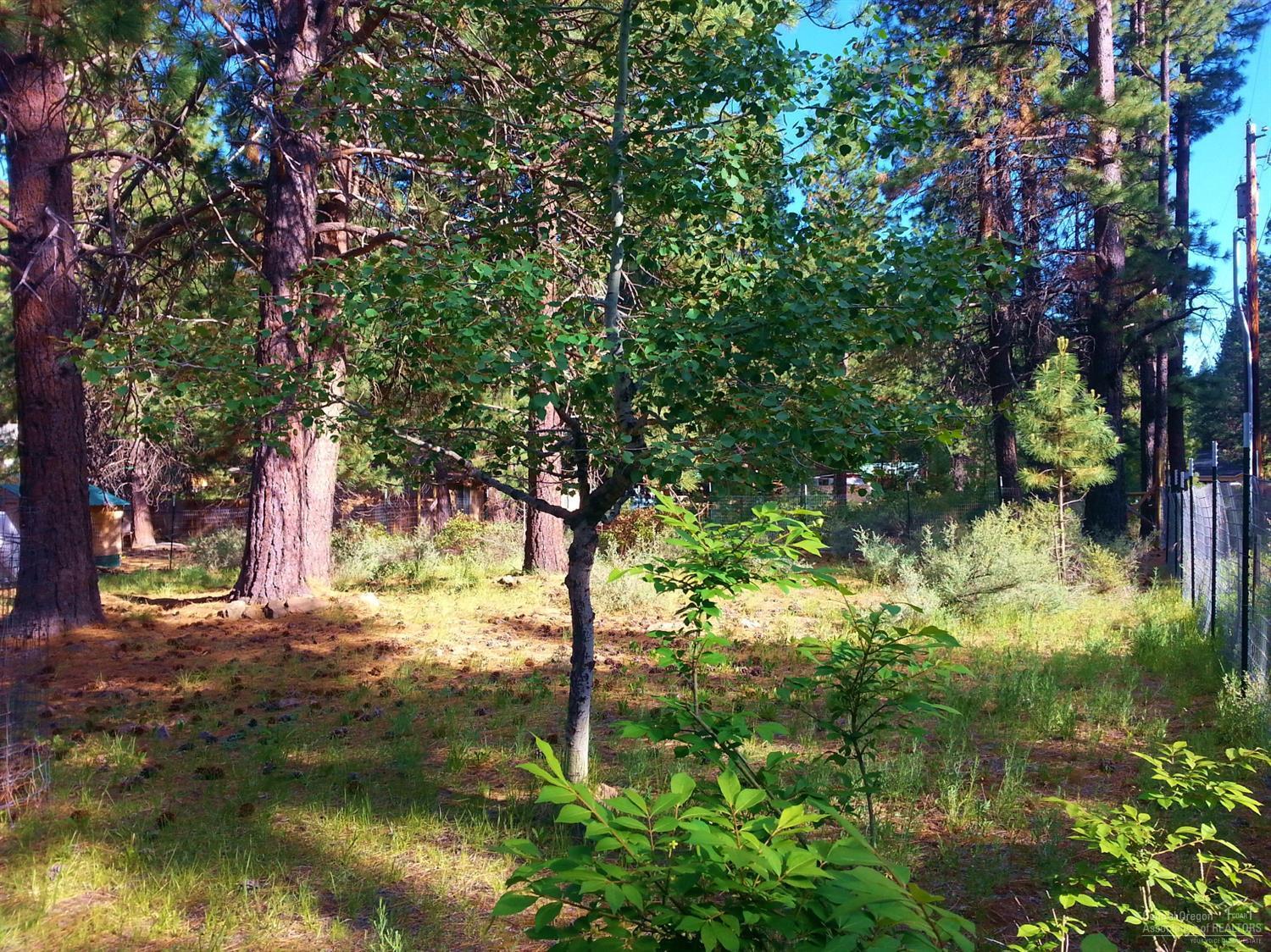 Deschutes RiverWoods - Residential