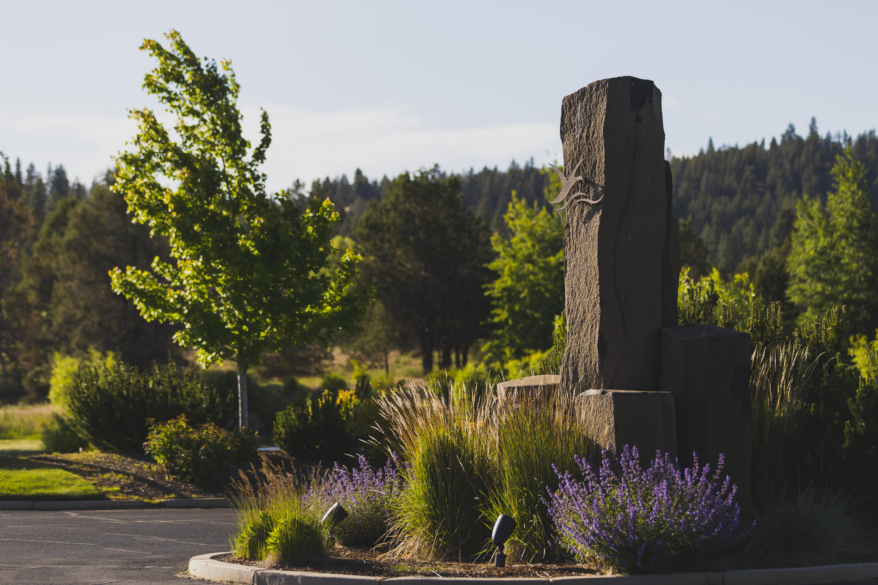 Ridgewater Subdivision -Phase 1 - Land