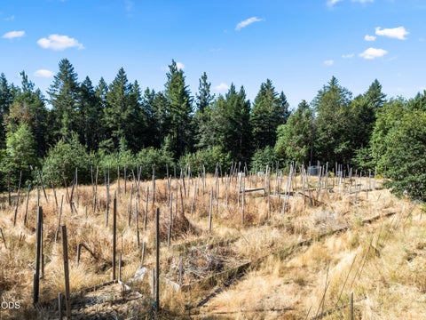 Tiny photo for 155 Kerby Mainline Road, Kerby, OR 97531 (MLS # 220226100)