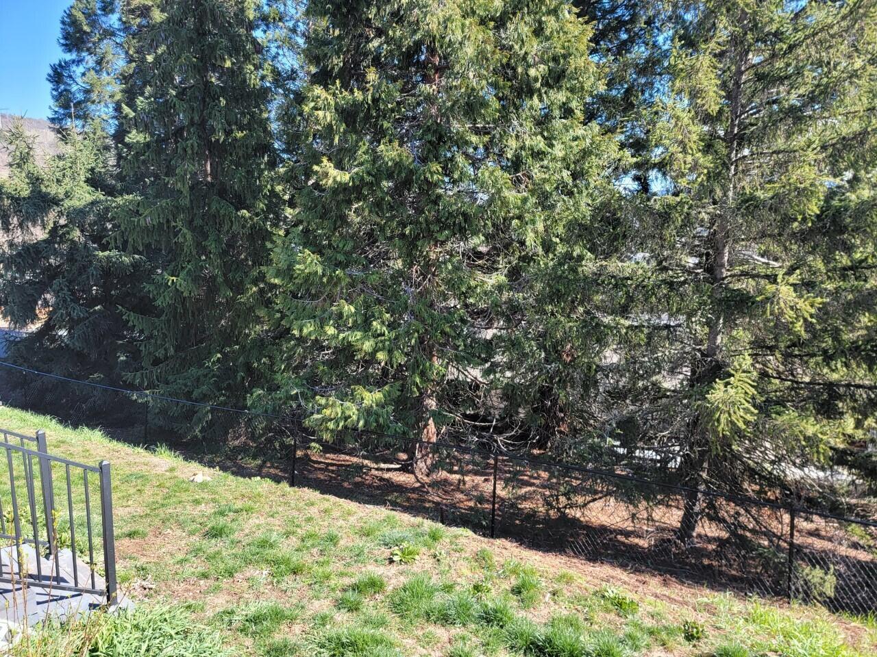 Eagle Trace Subdivision Unit 1 - Residential