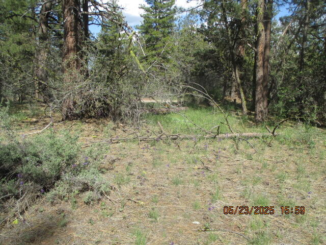 Klamath Falls Forest Estates -Hwy 66 Unit -Plat No. 1 - Land