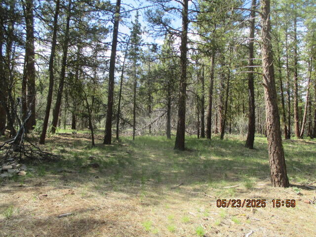 Klamath Falls Forest Estates -Hwy 66 Unit -Plat No. 1 - Land