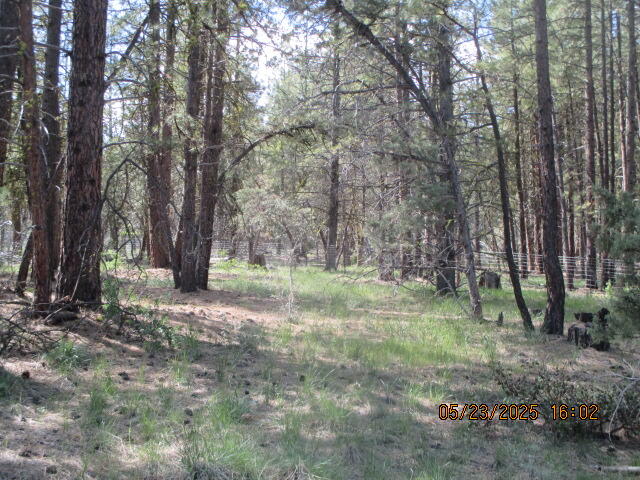 Klamath Falls Forest Estates -Hwy 66 Unit -Plat No. 1 - Land