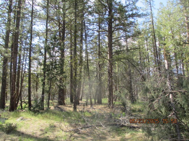 Klamath Falls Forest Estates -Hwy 66 Unit -Plat No. 1 - Land