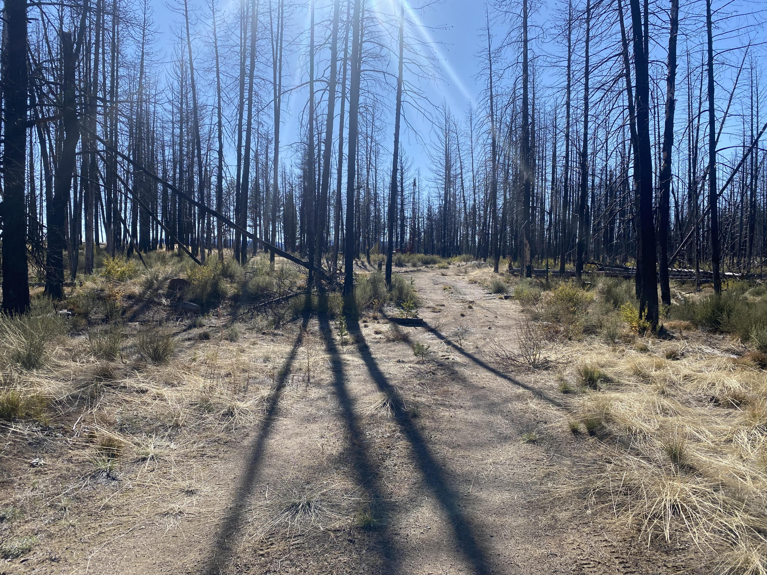 Klamath Falls Forest Estates -Sycan Unit - Land
