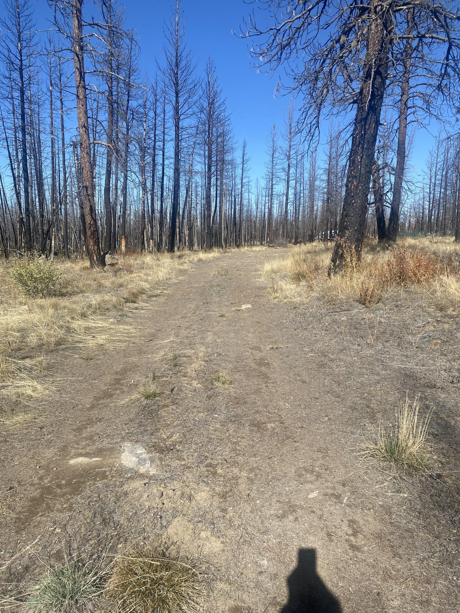 Klamath Falls Forest Estates -Sycan Unit - Land