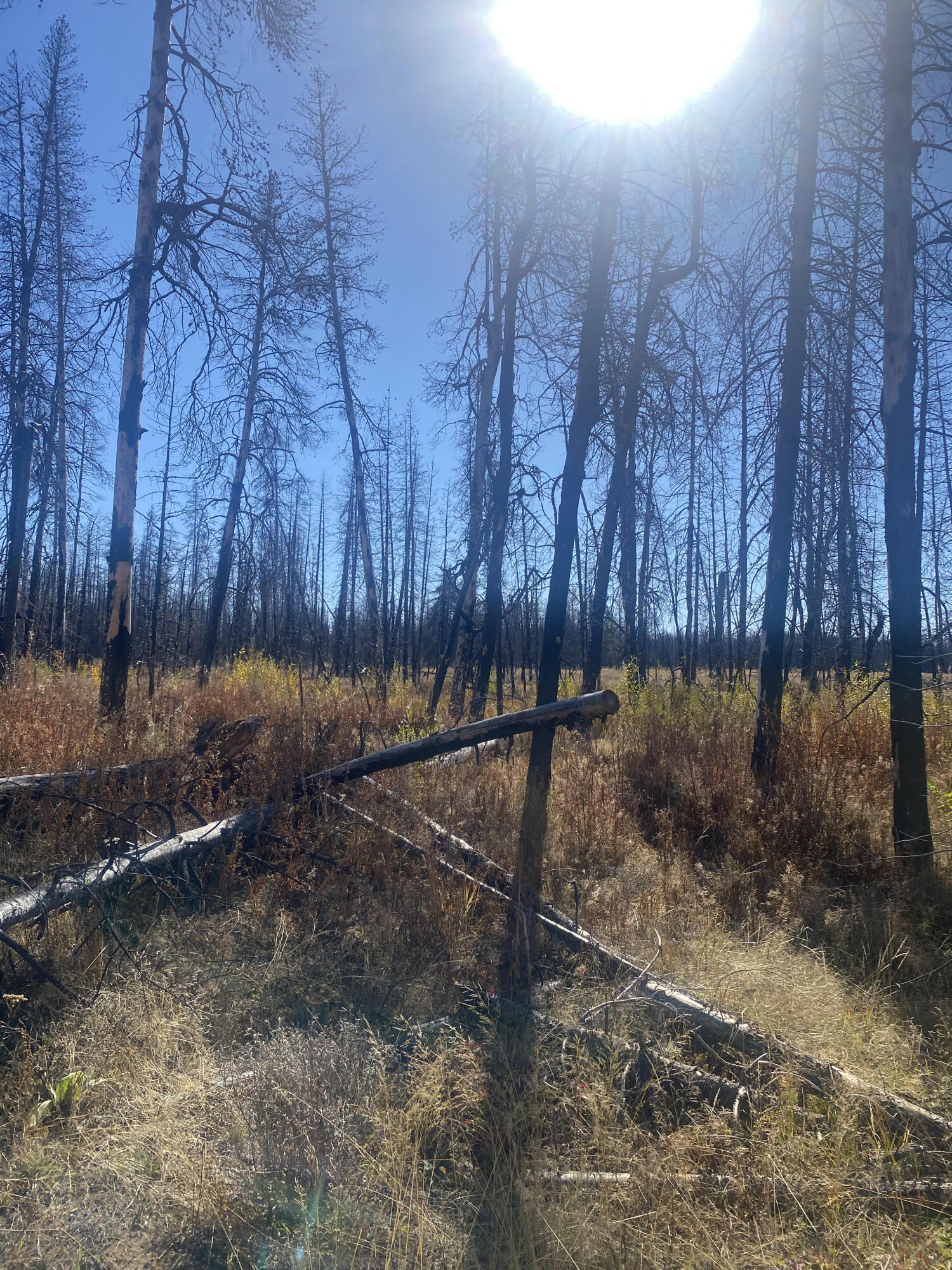 Klamath Falls Forest Estates -Sycan Unit - Land