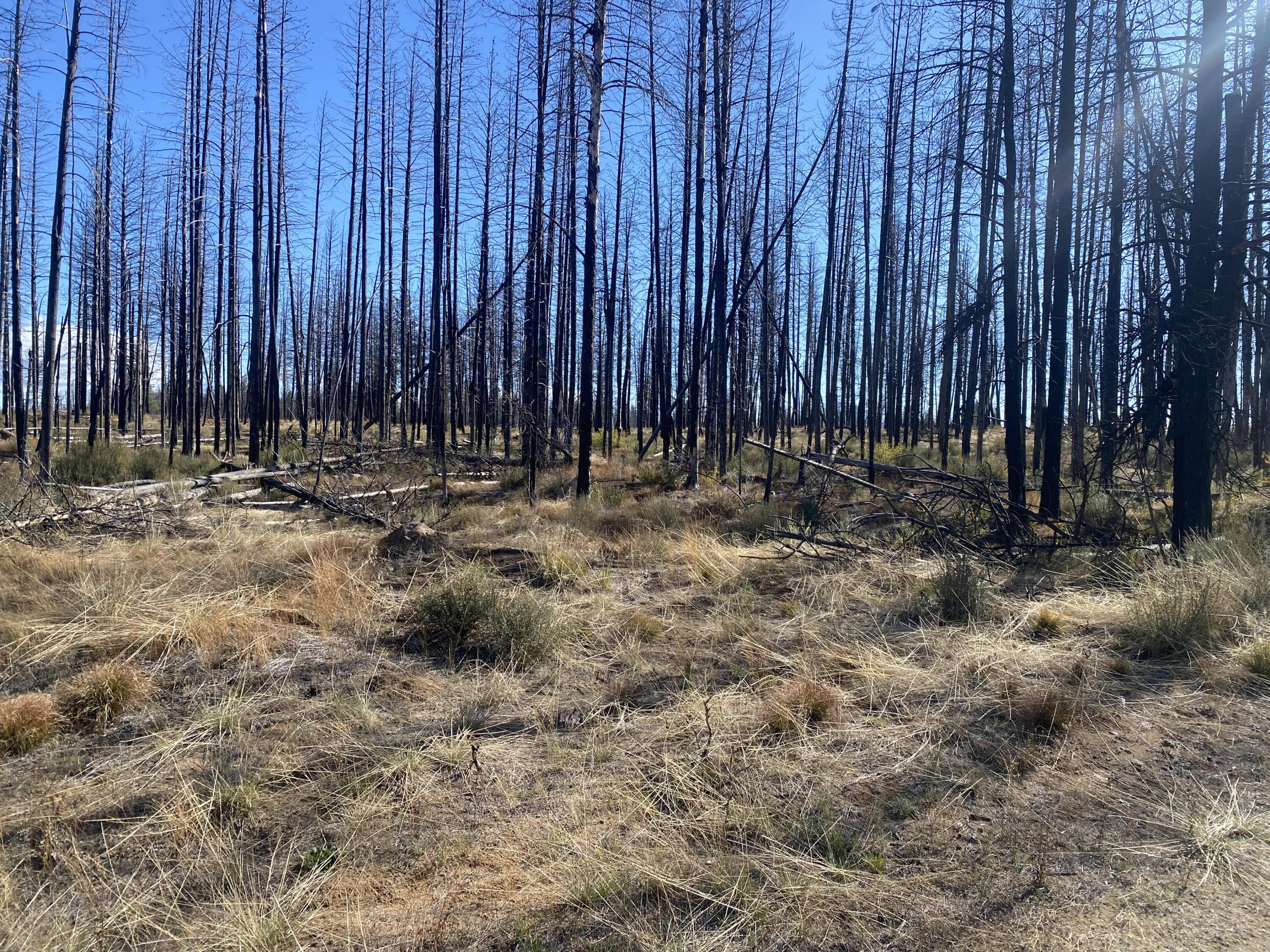 Klamath Falls Forest Estates -Sycan Unit - Land
