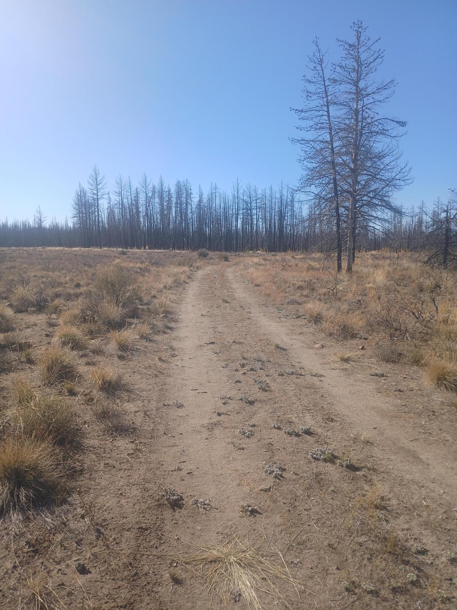 Klamath Falls Forest Estates -Sycan Unit - Land