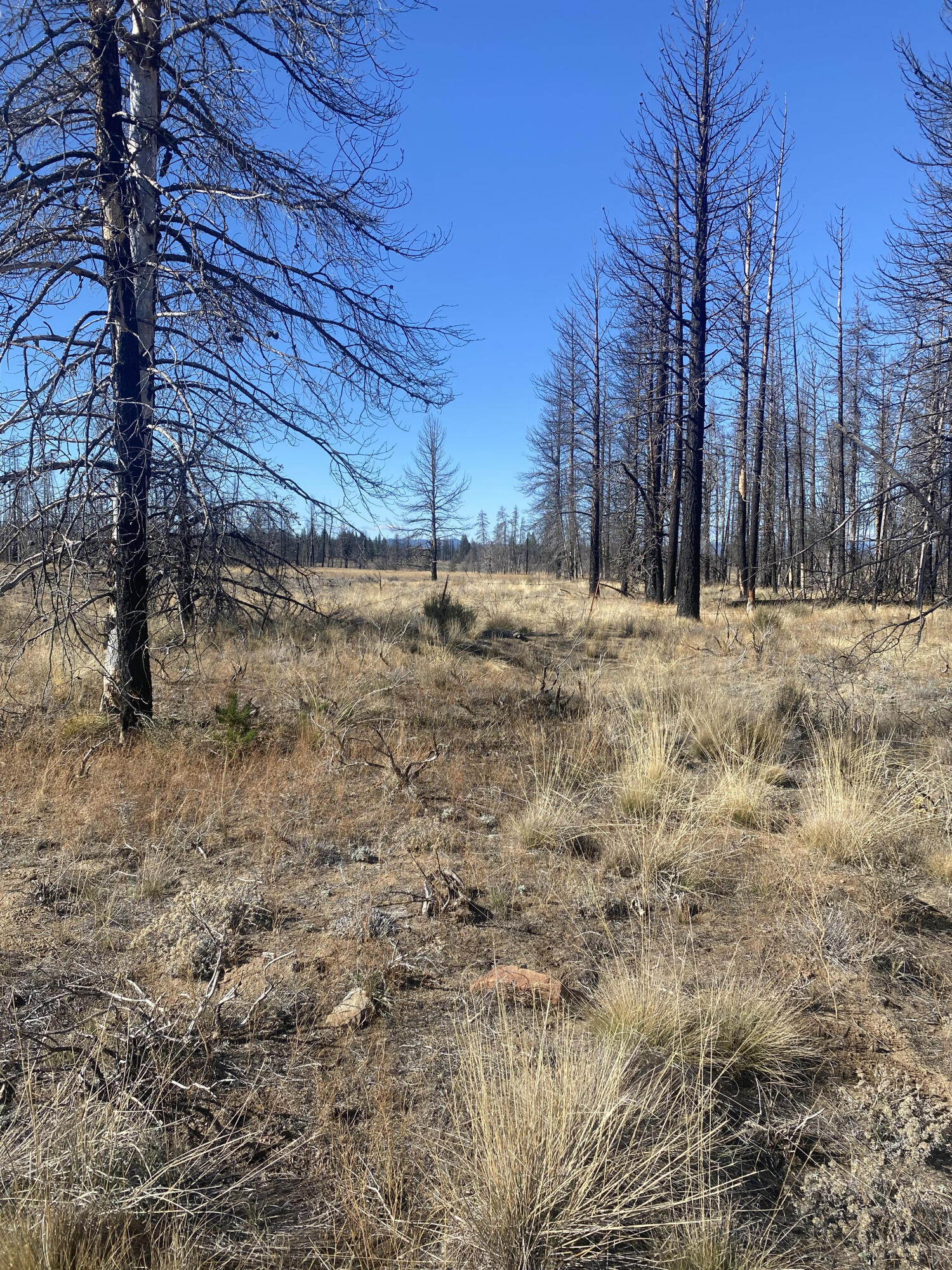 Klamath Falls Forest Estates -Sycan Unit - Land