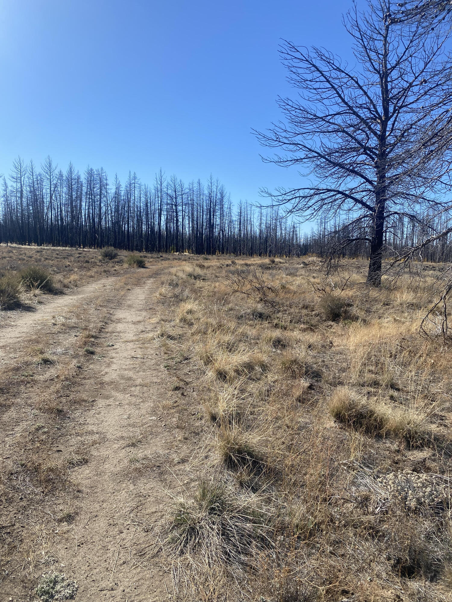 Klamath Falls Forest Estates -Sycan Unit - Land
