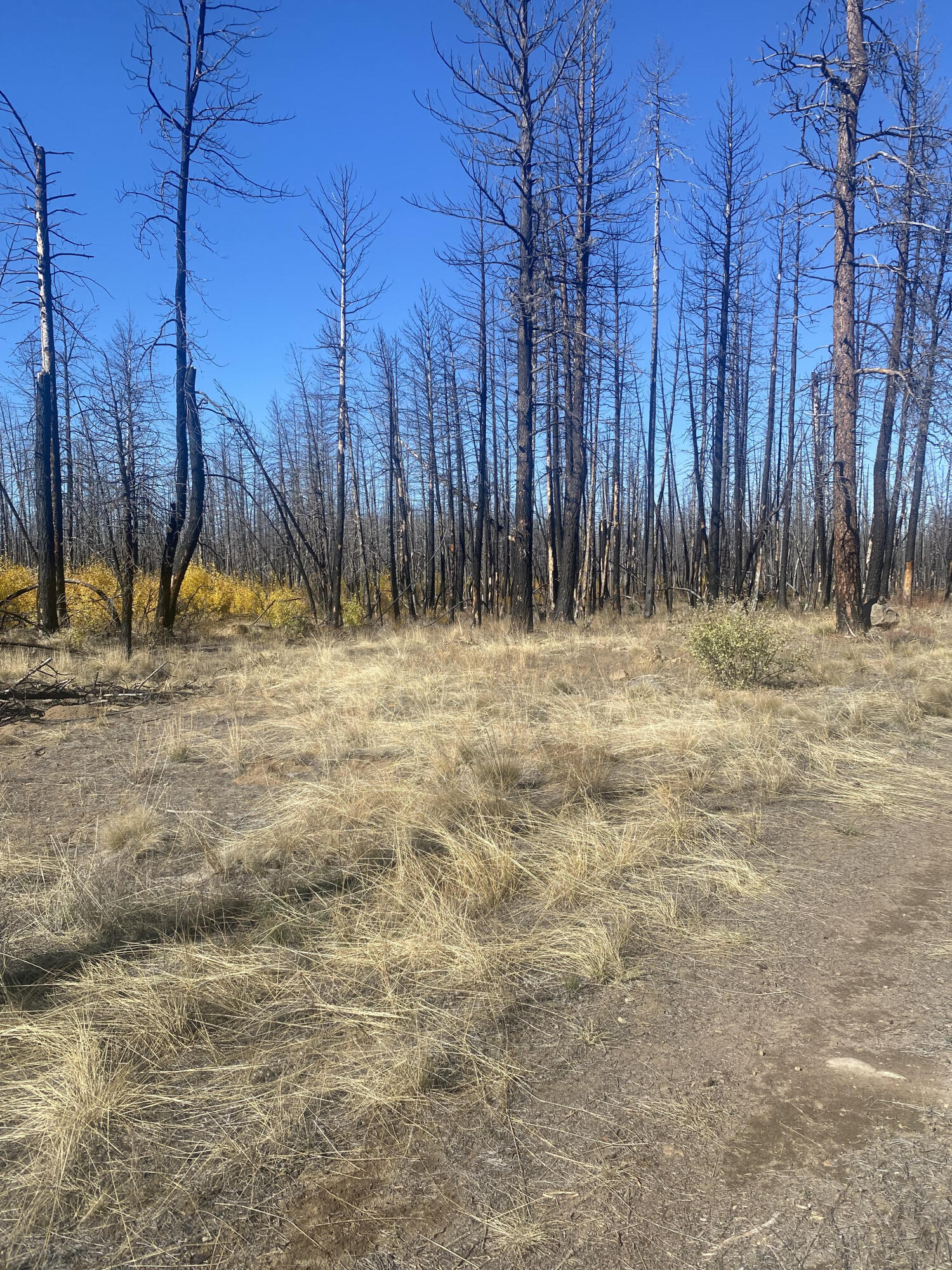 Klamath Falls Forest Estates -Sycan Unit - Land