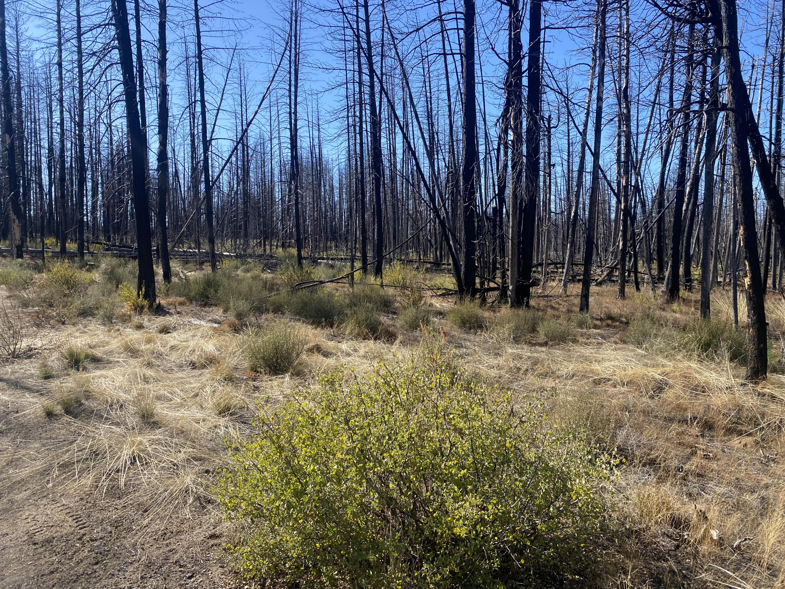 Klamath Falls Forest Estates -Sycan Unit - Land