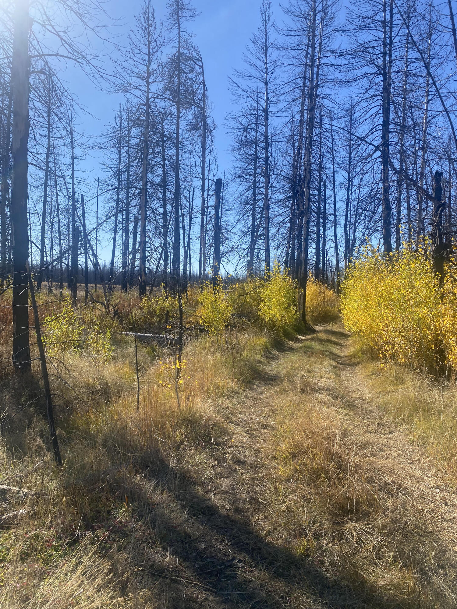 Klamath Falls Forest Estates -Sycan Unit - Land