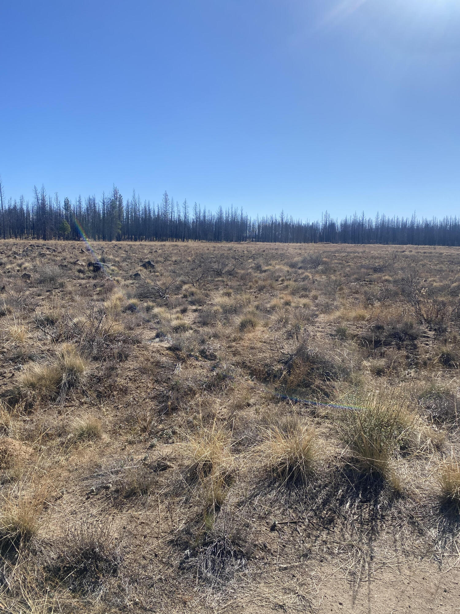 Klamath Falls Forest Estates -Sycan Unit - Land