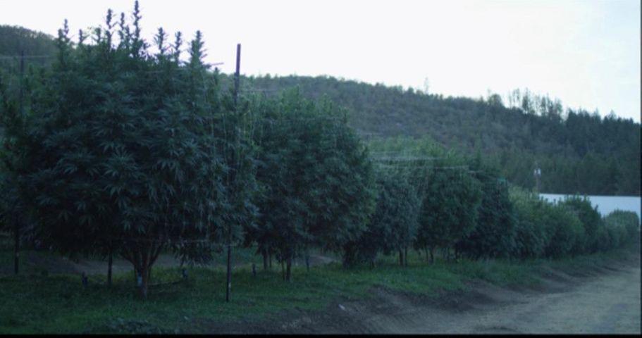 Apple Farm Estates Phase 1 - Land