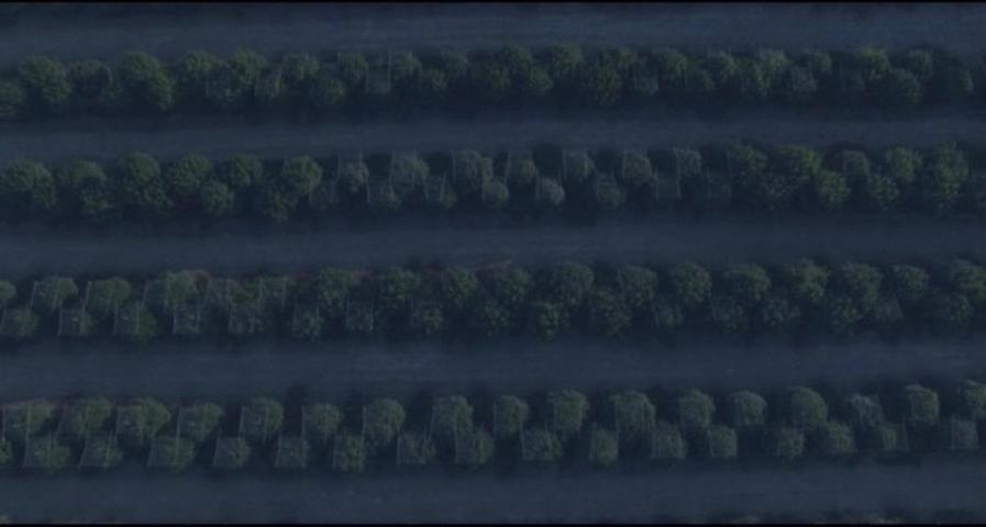 Apple Farm Estates Phase 1 - Land