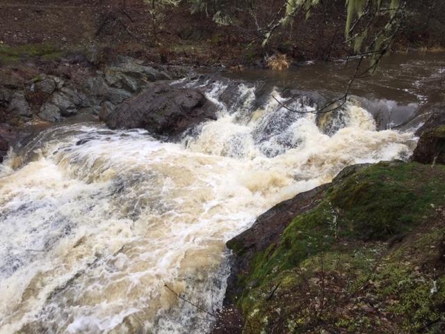 Apple Farm Estates Phase 1 - Land