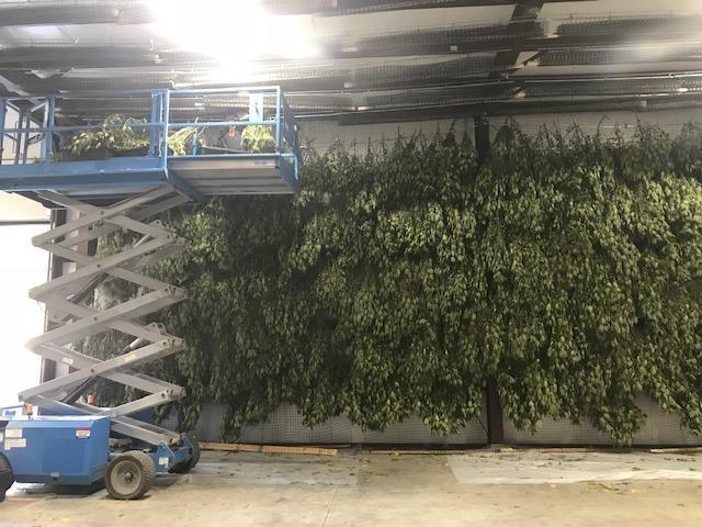 Apple Farm Estates Phase 1 - Land