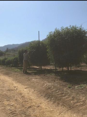 Apple Farm Estates Phase 1 - Land