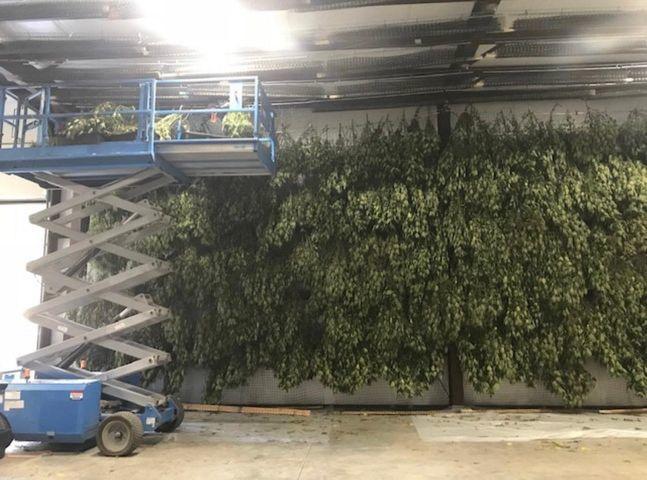 Apple Farm Estates Phase 1 - Land