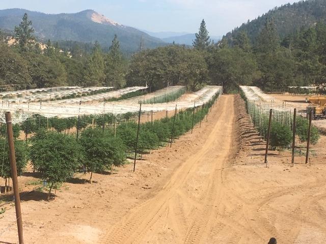 Apple Farm Estates Phase 1 - Land