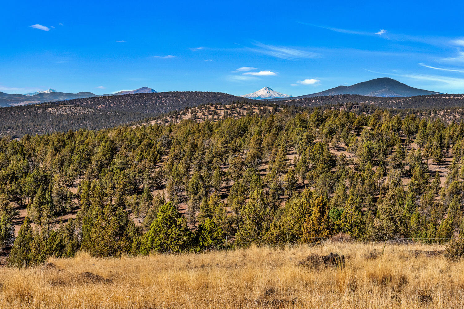 Meadow Ridge - Residential