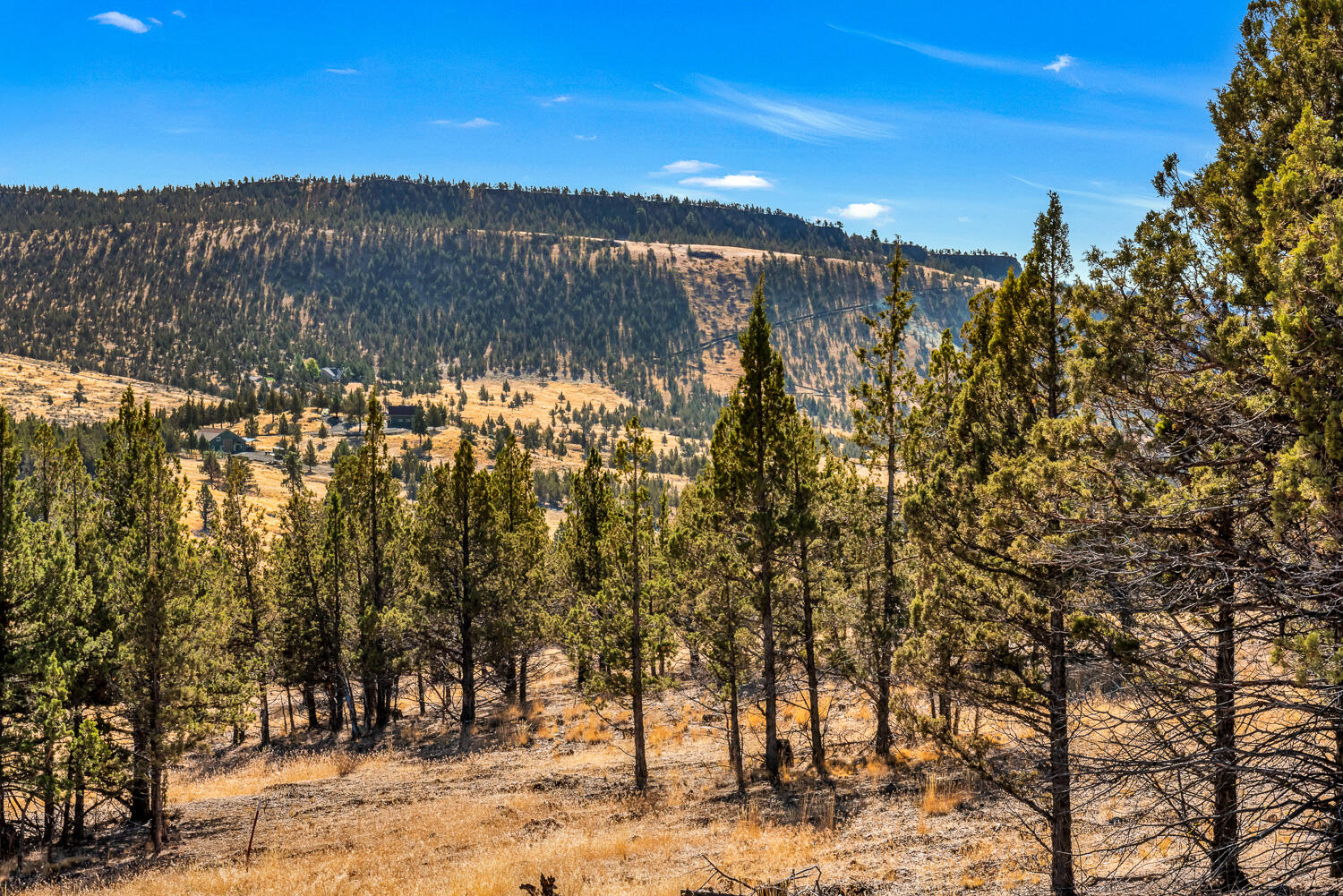 Meadow Ridge - Residential