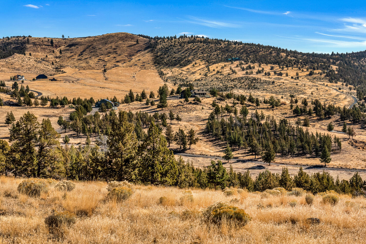 Meadow Ridge - Residential