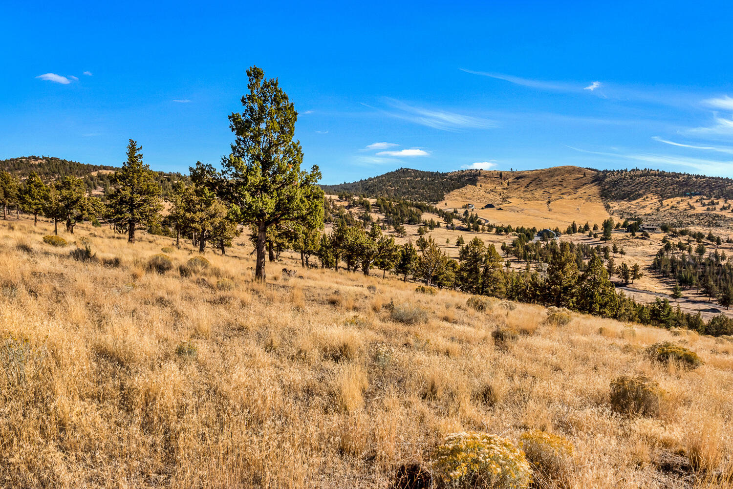 Meadow Ridge - Residential