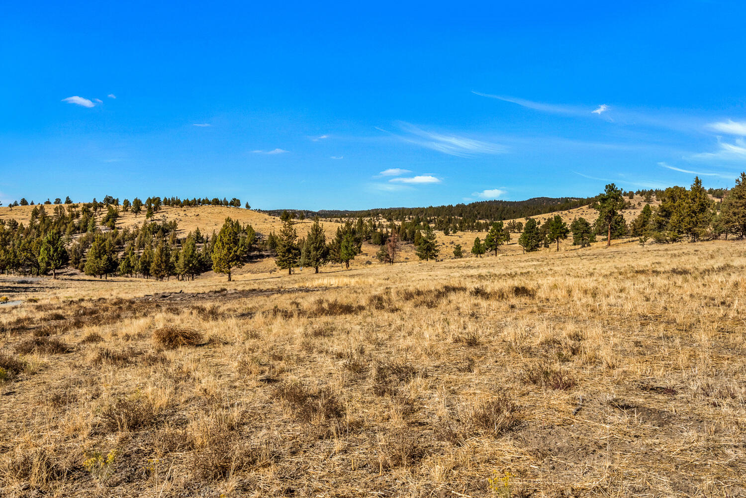 Meadow Ridge - Residential