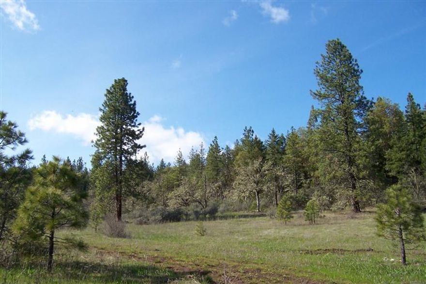 What a perfect setting for your next home! There are approximately 18 acres in meadow land, nice and level. The remaining acreage is treed with madrone, pine, oak, cedar, and assorted mountain brush all situated on a private knoll. BLM land to the West and East. Wonderful views from this very private property.